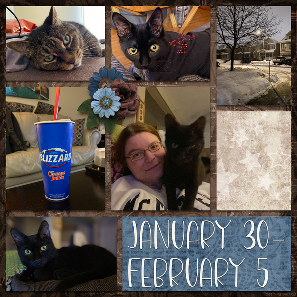 Day2Day 2022 Week 6