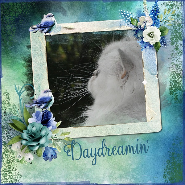 Daydreaming