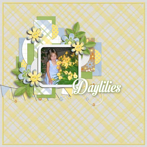 Daylilies