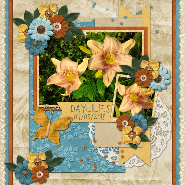 Daylilies