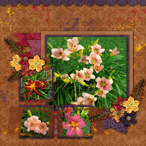 Daylilies
