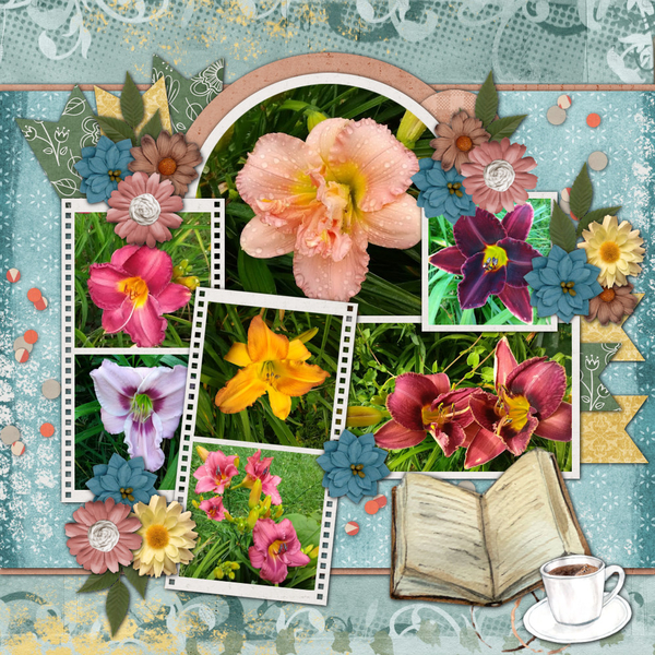 Daylilies