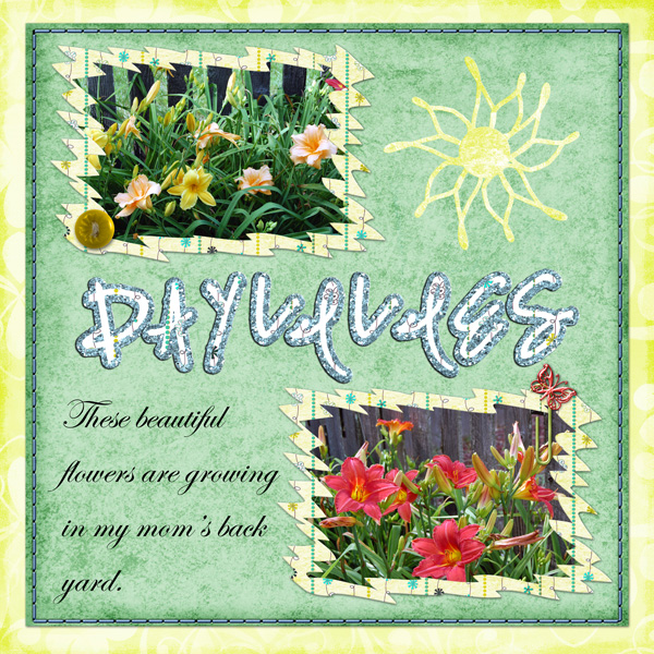 Daylilies