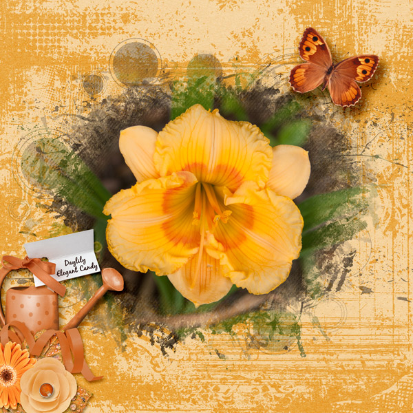 Daylily Elegant Candy