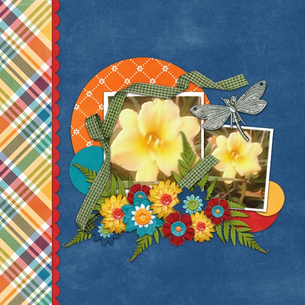 Daylily