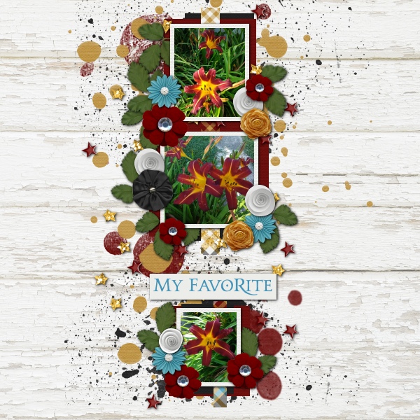 Daylily