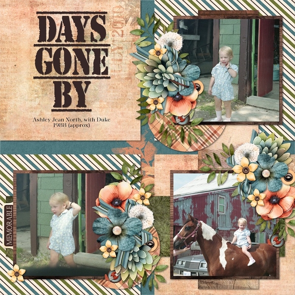 Days Gone By