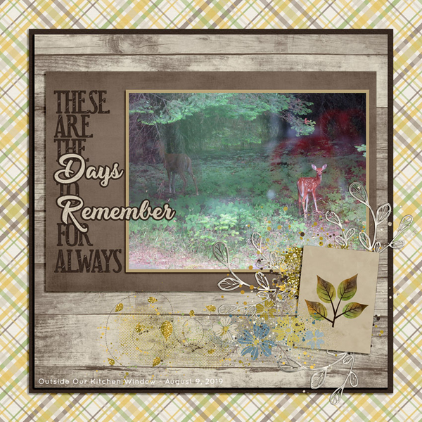 DAYS TO REMEMBER