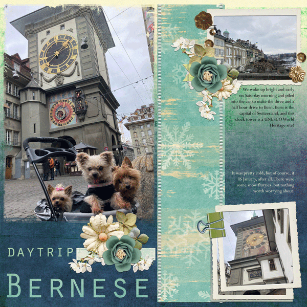 Daytrip Bernese I