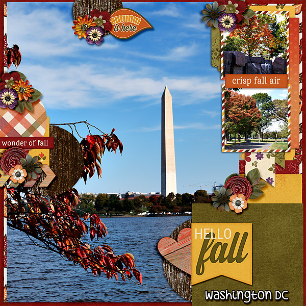 dc-fall-14