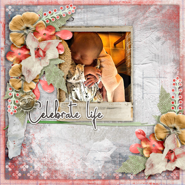 DD-KITD-PiecesOfLife-Pippin-01