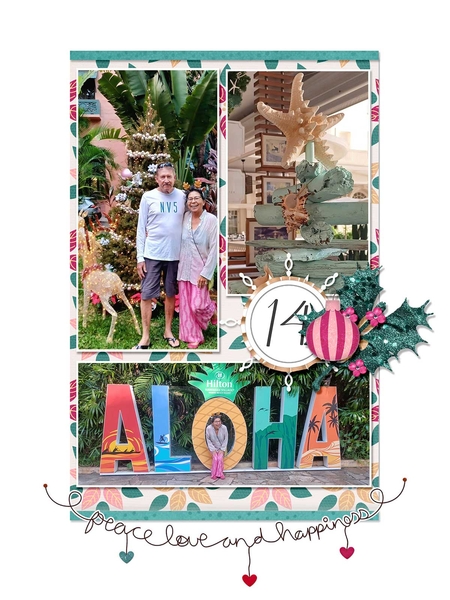 DD14 Waikiki Kalikimaka