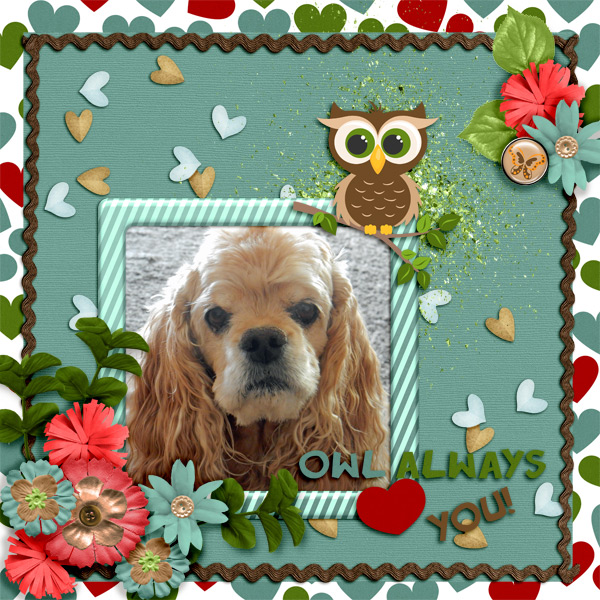 DD_Oct_BD_OwlAlwaysLoveYou_Pippin
