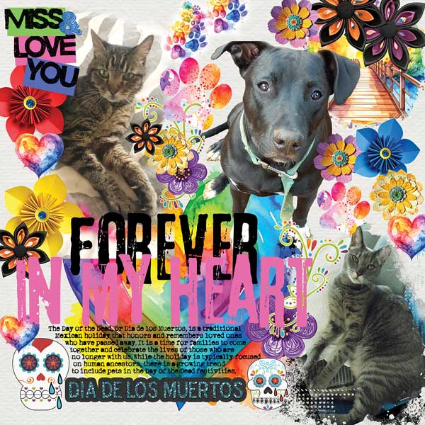 DDLM-Pet-Version-webv.jpg
