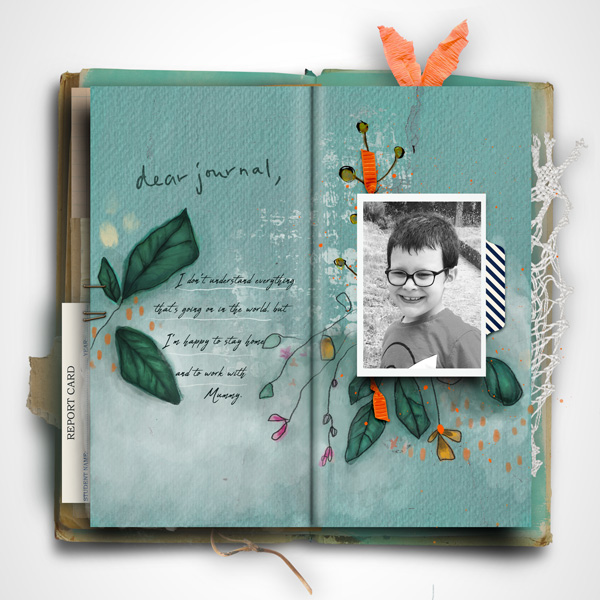 Dear journal
