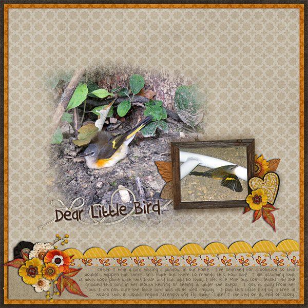 Dear Little Bird