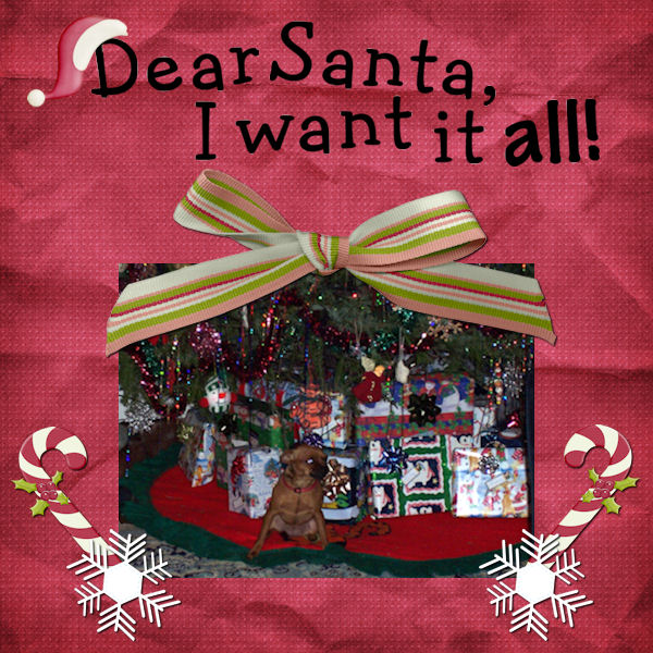 Dear Santa 1