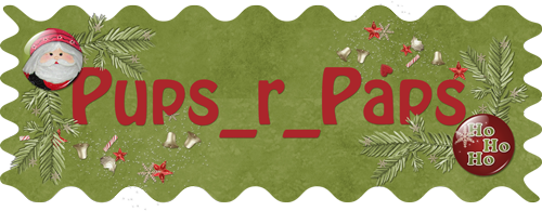 Dear Santa Siggy