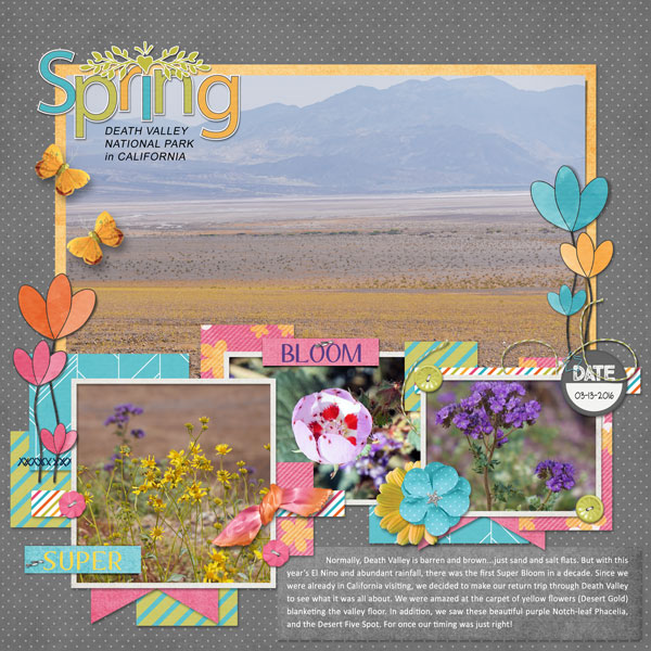 Death Valley Super Bloom