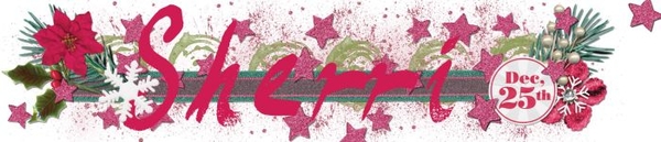 Dec 16 siggy challenge