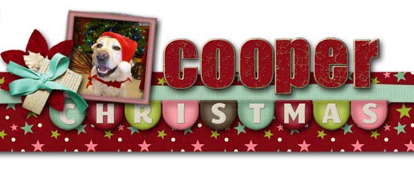 dec-2012-siggy