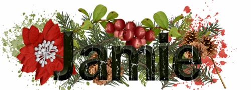 Dec.2014 Siggy