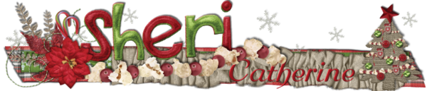 Dec 2014 Siggy