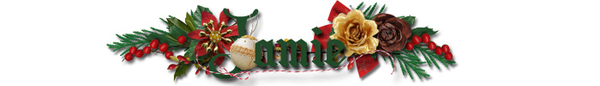Dec. 2016 Siggy