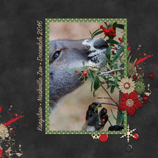 Dec Font - Kangaroo