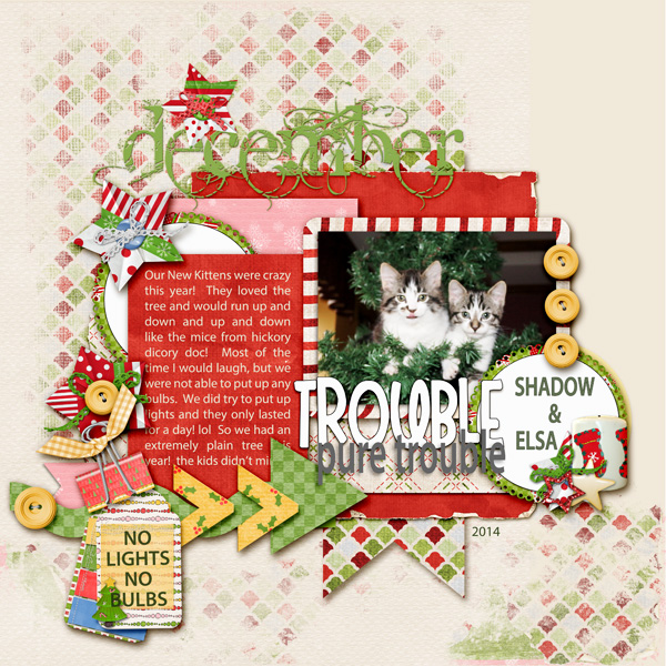 Dec Scraps/Picture Perfect