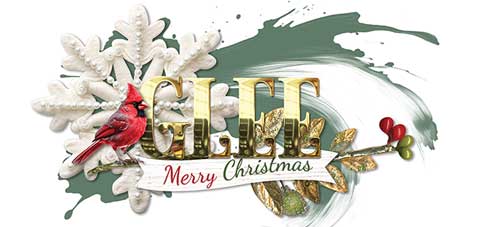 Dec-siggy-2025-webv.jpg