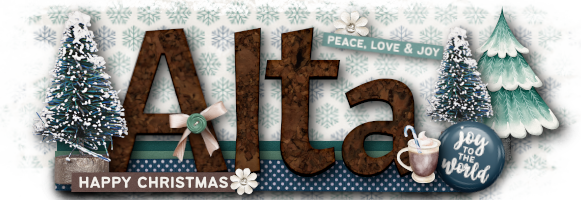 Dec. Siggy Challenge 2024