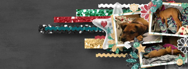Dec20FB