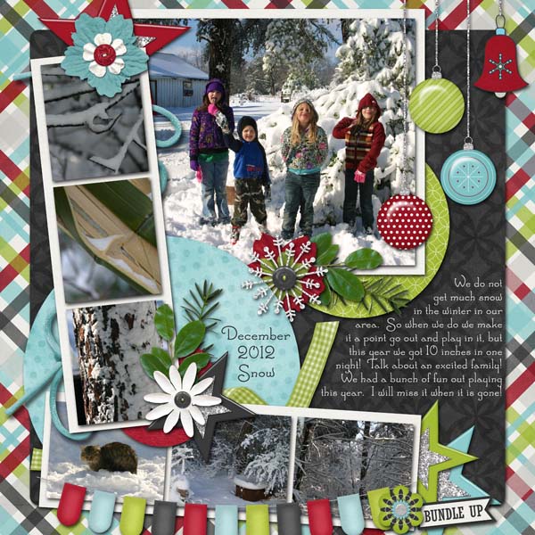 December 2012 Snow