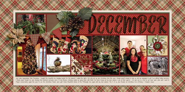December 2015 in Review