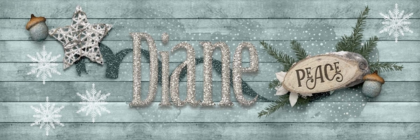 December 2019 Siggy