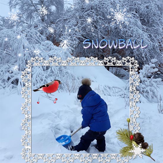 December 2020 Back-it Up with Diane
