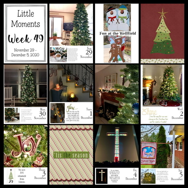 December 2020 Project 365/52: Little Moments Week 49