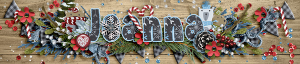 December 2020 Siggie