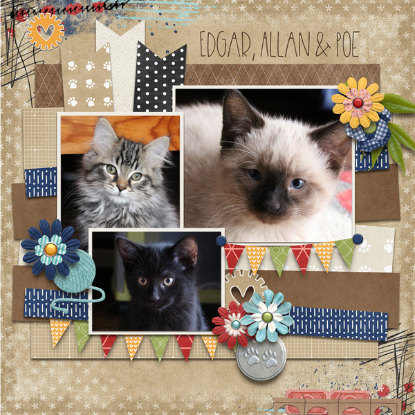 December 2021 Template Bundle - Pampered Pets