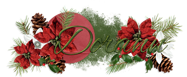 December 2022 Siggy