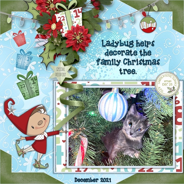 December 2024 Use It All Challenge