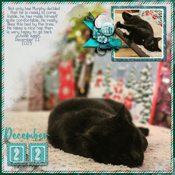 December-22.gif