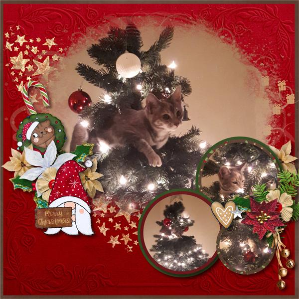 December 25