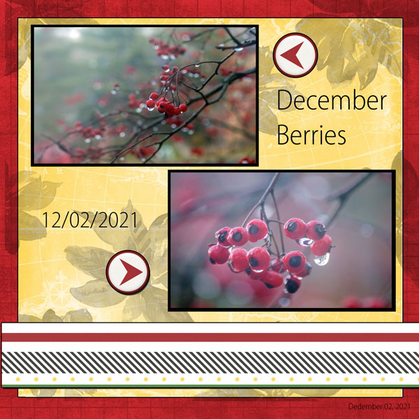 December Berries