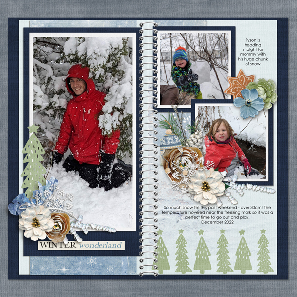 December big snow