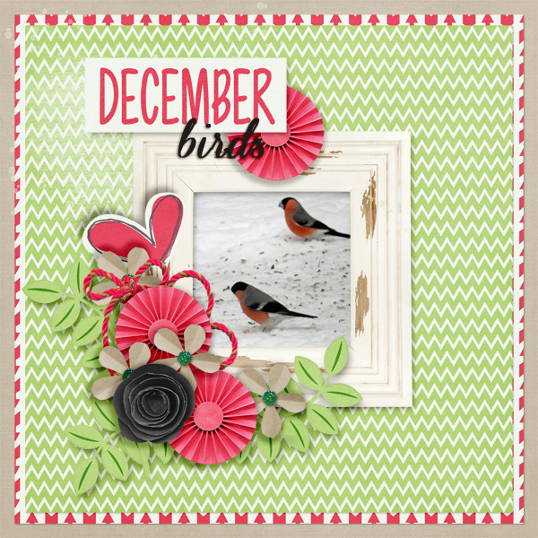 December-birds