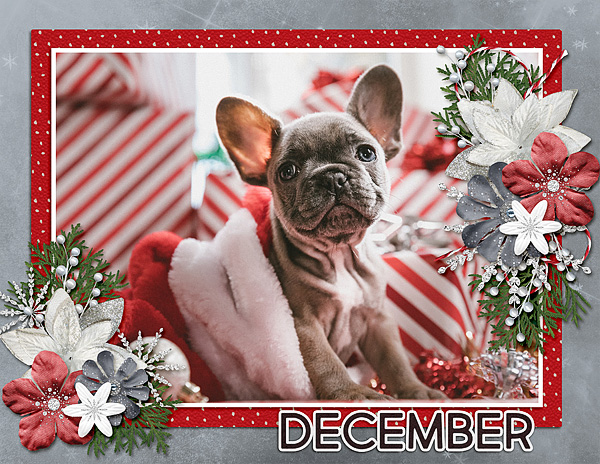 December Calendar