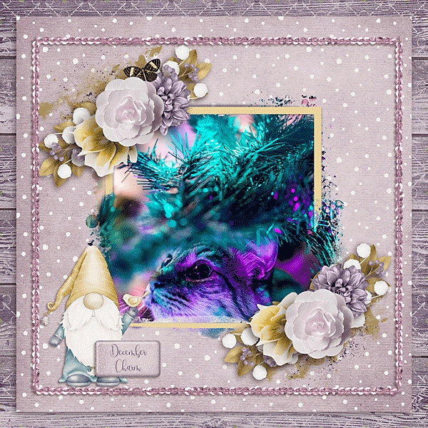 December Charm