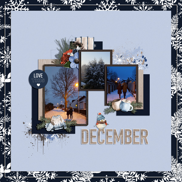 december evening walk